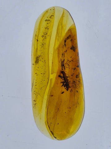 Ambre de Birmanie - Ambre - Collection of Six Burmese Amber