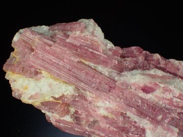 Tourmaline var. Rubélite sur Quartz Matrix - Hauteur : 157