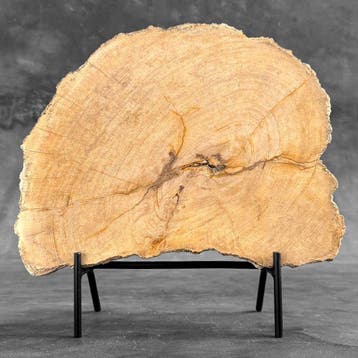 C - Prachtige schijf versteend hout op een aangepaste