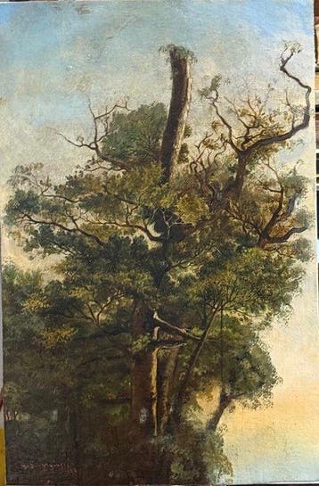 Gabriele Smargiassi (1798-1882) - Studio di Piante
