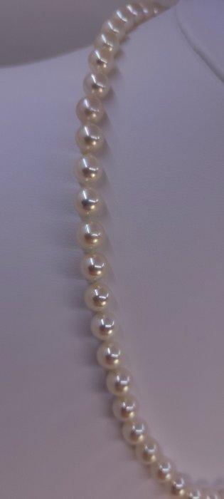 Halsketting 6,5×7 mm heldere Akoya parels
