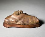Natuurlijke suiseki( - gepetrificeerd hout