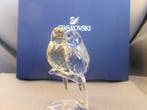 Swarovski - Figurine - Budgies colour - 5004725 - Unboxed -
