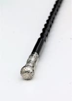 Canne de marche - champignon argenté - métal et bois