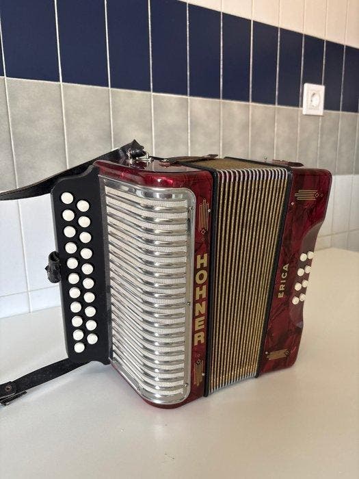 Hohner - Erica - - Accordéon diatonique à boutons -, Musique & Instruments, Instruments à vent | Flûtes à bec