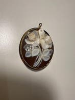 Broche - 18 carats Or jaune, Shell - Camée en or sur