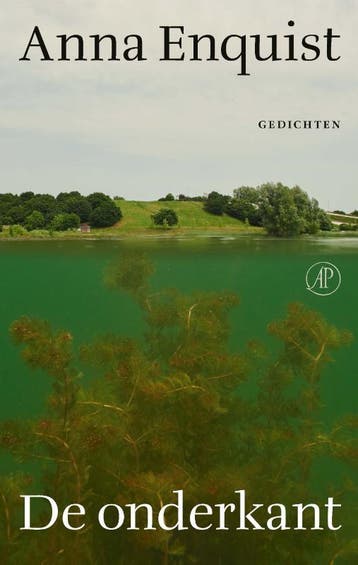 De onderkant 9789029553834 Anna Enquist, Verzenden, Gelezen, Anna Enquist