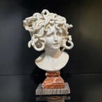 dal modello di Bernini - Buste, Busto raffigurante Medusa -