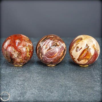 Versteend hout bolletjes-set – Exclusieve, Verzamelen