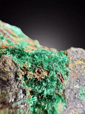petite gemme de malachite Collection de cristaux - Hauteur :
