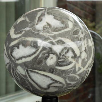 pierre coquillière Sphère en pierre coquillière de haute, Collections, Minéraux & Fossiles