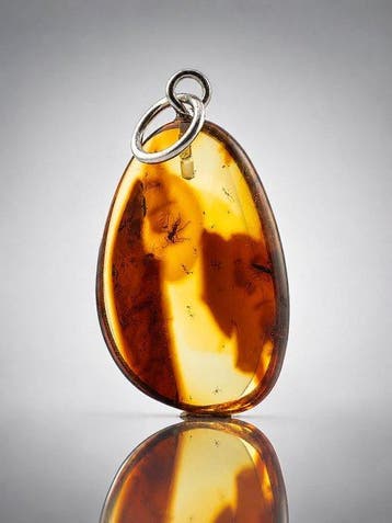 Eoceen Baltisch Amber hanger – Zeer gedetailleerde MUG -
