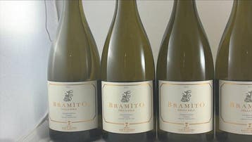 2024 Castello della Sala Bramìto della Sala - Umbrië - 6, Nieuw