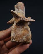 Dinosaure - Os de vertèbre fossilisé - vértebra de carnivoro