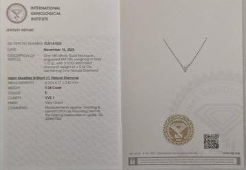 Ketting met hanger - 18 karaat Witgoud - 0.24ct. tw. Diamant