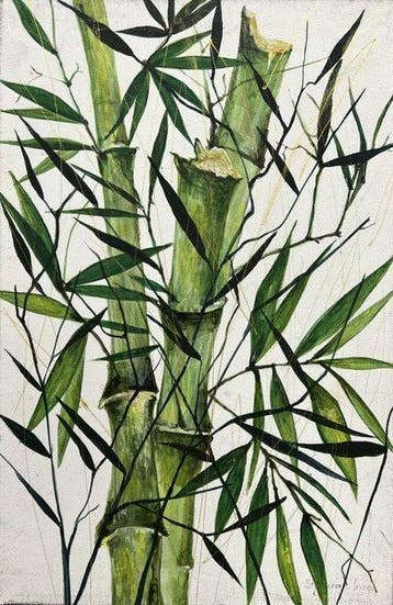 Iryna Stefurak (XXI) - Knotted Light