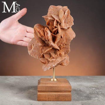 Rose des sables sculpturale sur socle en bois et en laiton -, Collections, Minéraux & Fossiles