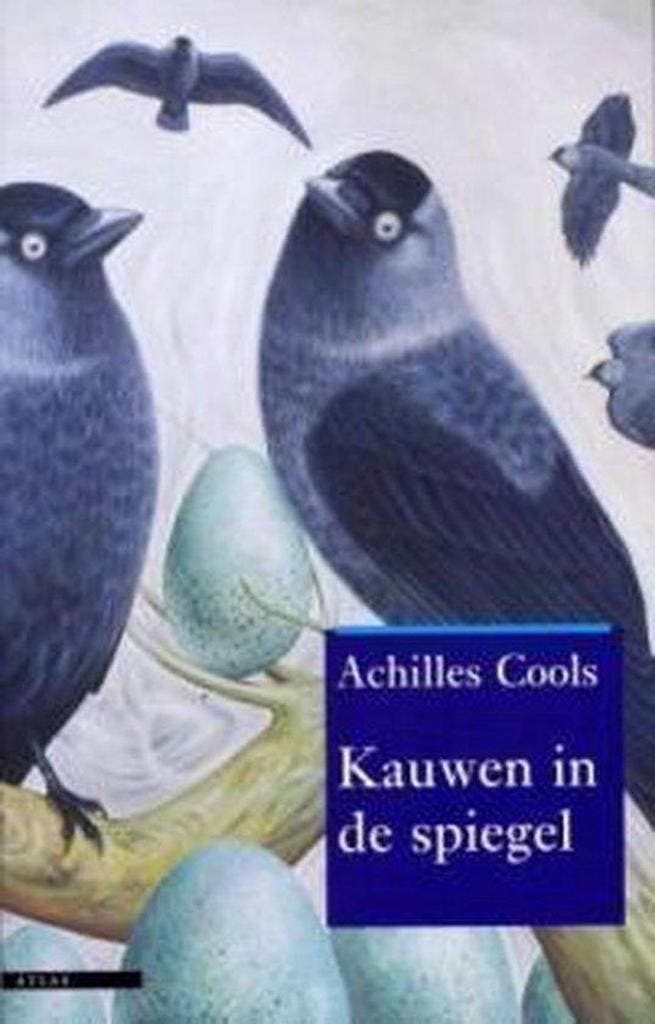 Kauwen in de spiegel 9789045010465 A. Cools, Boeken, Romans, Gelezen, Verzenden