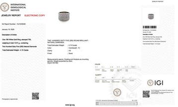 Ring - 18 karaat Witgoud - 4.15ct. tw. Diamant (Natuurlijk), Nieuw