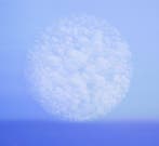 Nacho Vergara - Individuo y Comunidad XII