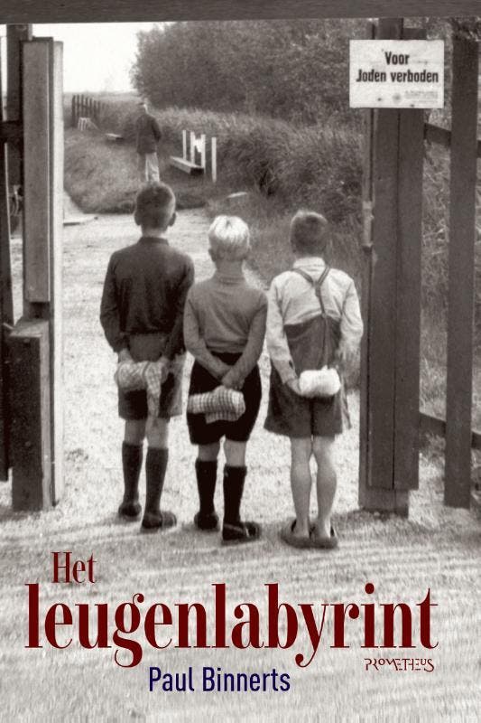 Het leugenlabyrint 9789044647259 Paul Binnerts, Livres, Romans, Envoi