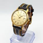 Omega - Seamaster - 166.0202 - Homme - 1974