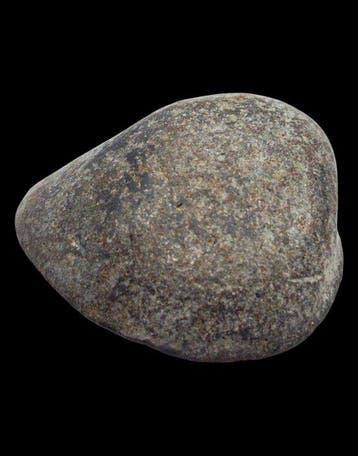 Royaume malais, Asie. 8 MASSA Shell money (weight), Scarce