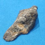 Aletai meteoriet Dit is een einddoorsnede van een ijzeren, Verzamelen, Mineralen en Fossielen