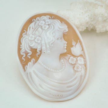 Zonder reservering - Cameo - CASSIS MADAGASCARIENSIS