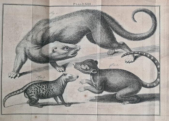 [Martinus Houttuyn], Linnaeus - Natuurlyke Historie, Of, Antiquités & Art, Antiquités | Livres & Manuscrits