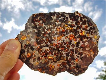 Pallasiet XXL Sericho pallasite - Hoogte: 15 cm - Breedte: