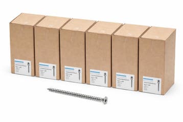 6X Hoenderdaal staanplaatschroeven 6,0x100/60 RVS A2 – Deeld, Verzenden, Nieuw