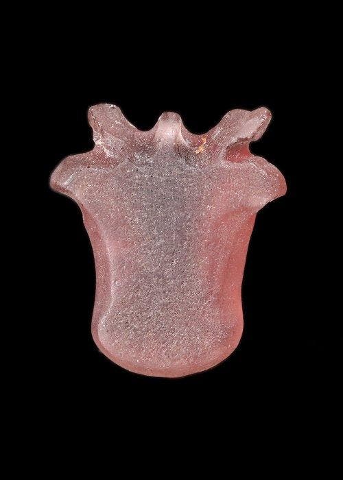Oude Egypte, late periode amethist Apis Stierhoofd Amulet, Antiquités & Art, Antiquités | Autres Antiquités