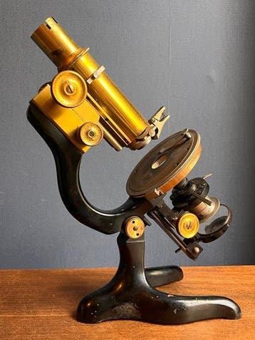 Monocular compound microscope - No237764 - 1900-1910 -