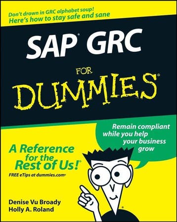 SAP GRC For Dummies 9780470333174 DV Broady, Verzenden, DV Broady