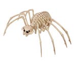 Halloween Tarantula Skelet 35x20cm, Verzenden, Nieuw