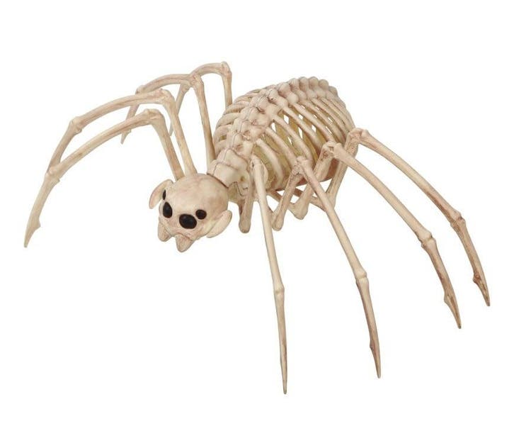 Halloween Tarantula Skelet 35x20cm, Hobby en Vrije tijd, Feestartikelen, Nieuw, Verzenden