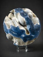 Indrukwekkende blauwe koraalbol met sculpturale vorm en