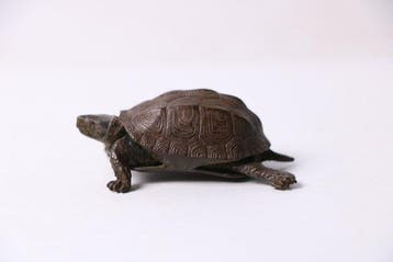 Brons - Scharnierende Schildpad-Okimono - 1900-2000 (Zonder