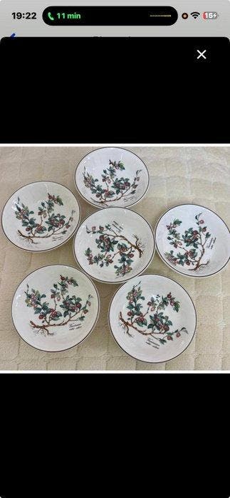 Villeroy & Boch - Kom (6) - botanica - Porselein, Antiek en Kunst, Antiek | Meubels | Tafels