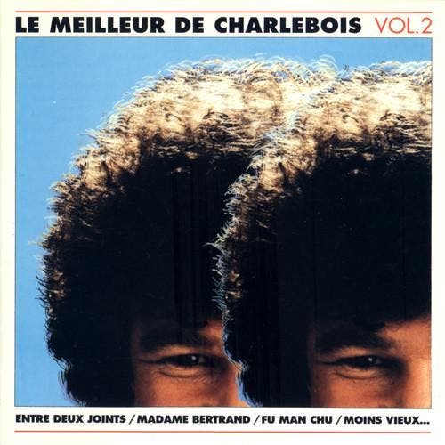 Robert Charlebois - Le Meilleur De Charlebois Vol. 2, Cd's en Dvd's, Cd's | Pop, Gebruikt, Verzenden