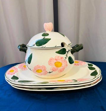 Villeroy & Boch - Tafelservies (5) - Wild-Rose - Aardewerk -, Antiek en Kunst