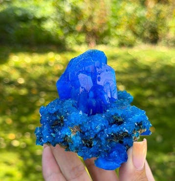 SANS RÉSERVE ! 166 g Cristal de chalcanthite bleu royal sur