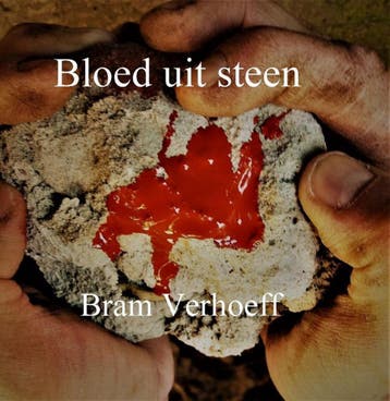 Bloed uit Steen 9789492719201 Bram Verhoeff, Verzenden, Gelezen, Bram Verhoeff