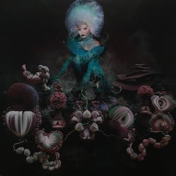 Björk - Fossora, Verzenden, Gebruikt