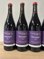 2022 Marc Soyard, Domaine de la Cras Coteaux de Dijon -, Nieuw