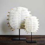 PAS DE PRIX DE RÉSERVE - Époustouflante carapace de tortue à, Antiquités & Art