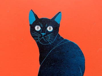 Looking Back [5] Blue - NO RESERVE PRICE ! - Nishida
