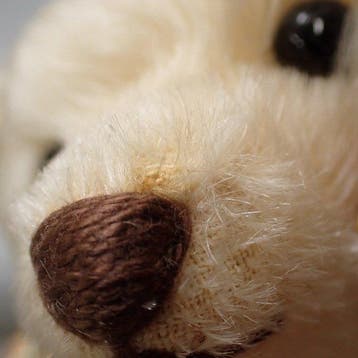 Steiff - Pluche speelgoed Steiff Momotaro Bear & Dog Set