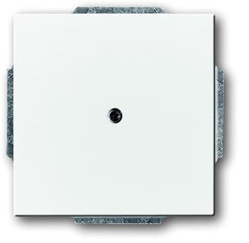 ABB Busch-Jaeger Future/Solo Bedieningselement/Centrale, Verzenden
